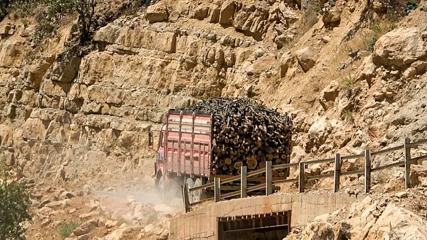 Siirt'te Ekolojik Platform Eksikliği Dikkat Çekiyor: Doğa Tahribatlarına Karşı Ortak Ses Gerekiyor