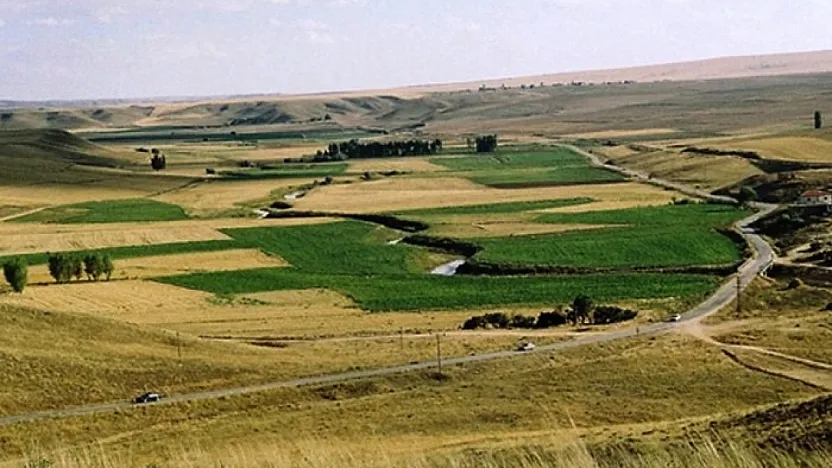 Siirt'te Hazineye Ait 9 Taşınmaz Satışa Çıkarıldı