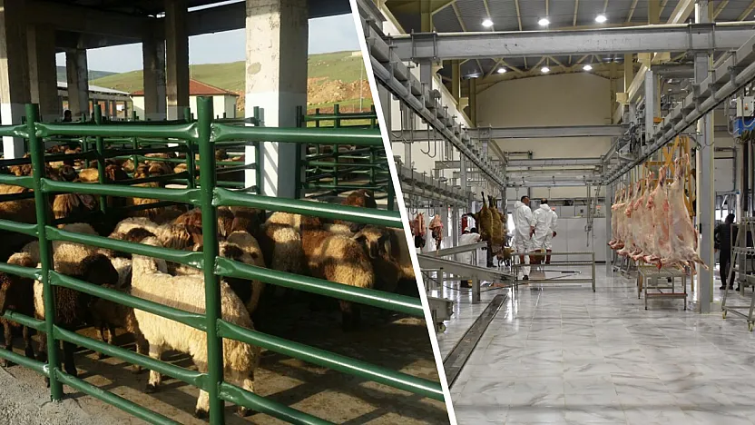 Siirt'te Kurban Satış ve Kesim Yerleri Açıklandı! Belediye O Konuda Vatandaşları Uyardı