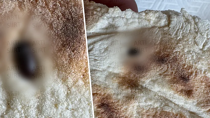 Siirt'te Satın Alınan Ekmekten Böcek Çıktı