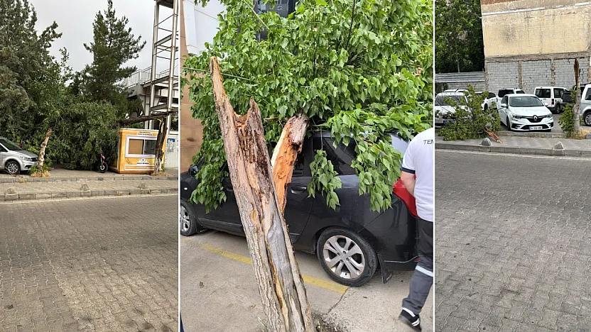 Siirt'te Şiddetli Fırtına Hayatı Felç Etti: Çatılar Uçtu, Camlar Kırıldı, Ağaçlar ve Duraklar Devrildi