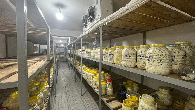 Siirt'te Soğuk Hava Depolarında Peynir Saklama Ücreti Belli Oldu