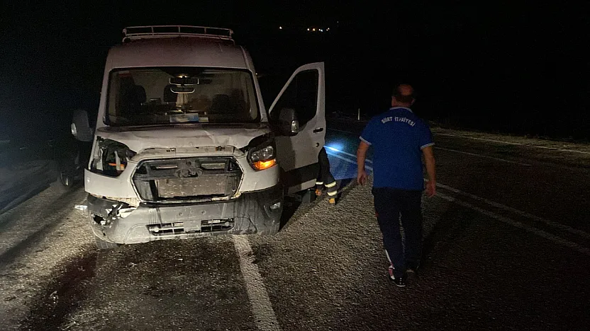 Siirt'te Trafik Kazası: Araç Eşeğe Çarptı, Eşek Telef Oldu