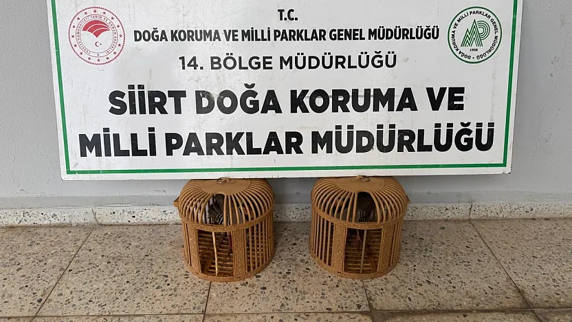 Siirt'te Yasaklı Kınalı Keklik Satışına Ceza Kesildi