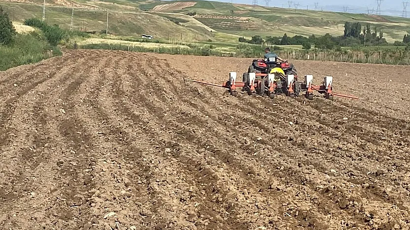 Siirt'te Yer Fıstığı Üretimi İçin Yeni Adım