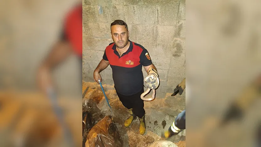 Siirt'te Yılanlar Korkuttu, İtfaiye Müdahale Etti