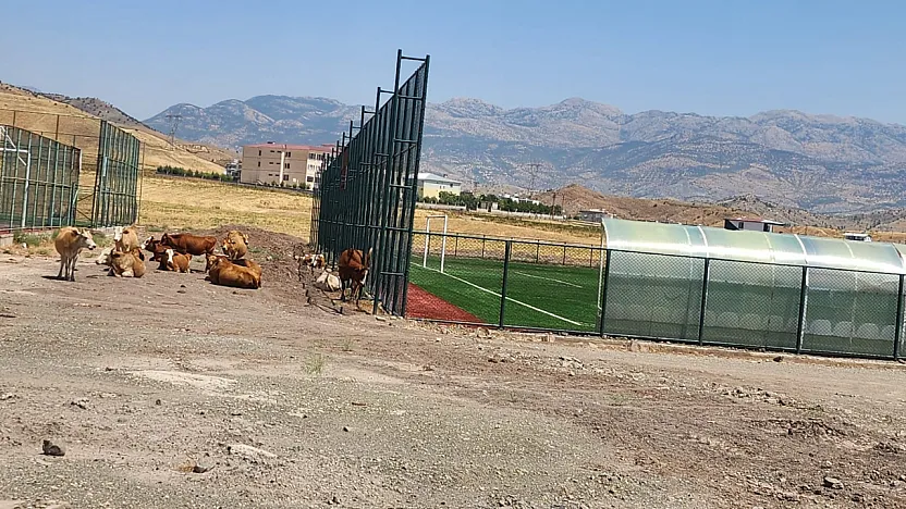 Veysel Karani'de Saha Yapıldı, Çevre Düzenlemesi Unutuldu