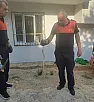 Siirt'te Evin Bahçesine Giren Yılan İtfaiye Ekiplerince Yakalandı