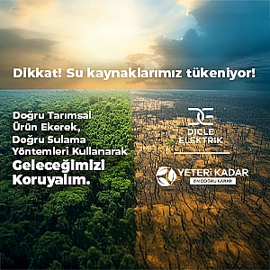 Dicle Dicle