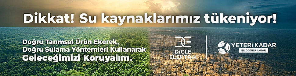 Dicle Dicle