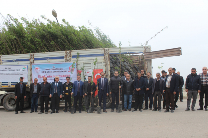Trabzon Hurması Artık Siirt'te Yetişecek! Binlerce Fidan Dağıtıldı