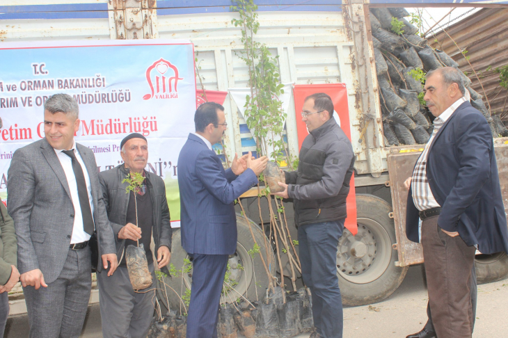 Trabzon Hurması Artık Siirt'te Yetişecek! Binlerce Fidan Dağıtıldı