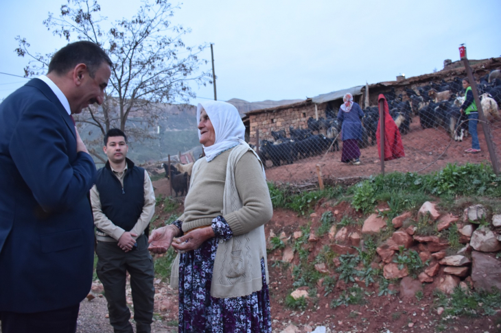 Sitti Nine, Siirt Valisinden, Torununu Evlendirmek İçin Destek İstedi! Vali Sözü Verdi