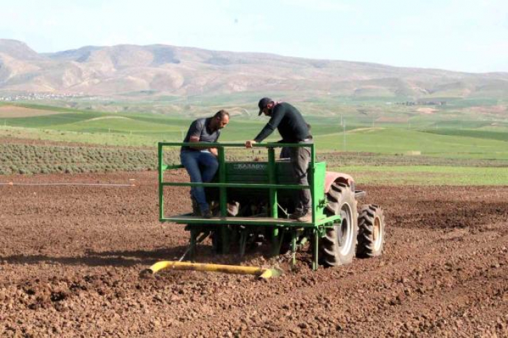 Siirt'te deneme amaçlı patates ekimi yapıldı