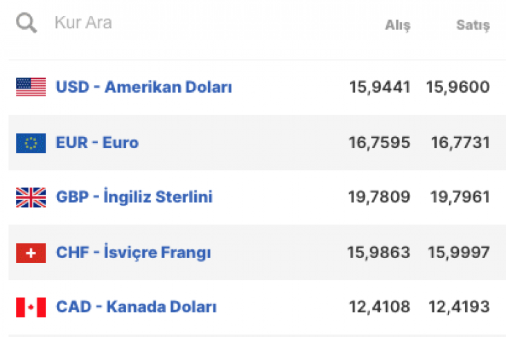 Dolar son 6 ayın zirvesini gördü