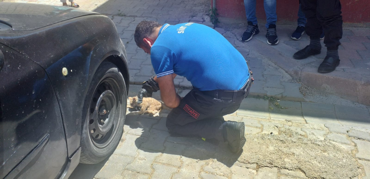 Otomobilde Sıkışan Kedinin Yardımına İtfaiye Ekipleri Koştu