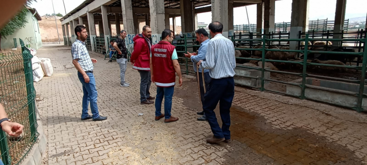 Siirt'te Kurban Denetimi Yapıldı! Kurbanlık Alırken Bunlara Dikkat