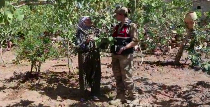 Artı Siirt Gündeme Getirmişti! Jandarma, Fıstık Bağlarını İnsansız Hava Araçlarıyla Koruyacak