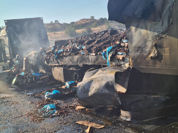 Siirt'te Yanan TIR, Ormanlık Alana Sıçradı 