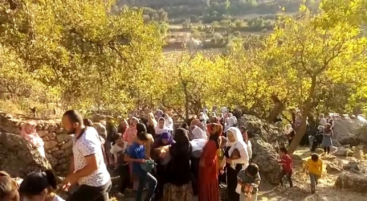 Siirt'te Binlerce Kişi Bapirê Sofi Ziyafetinde Bir Araya Geldi