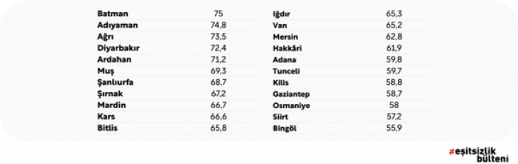 Siirt'in Durumu Kötü! Yeni Araştırma Sonucu Gerçekleri Ortaya Koydu