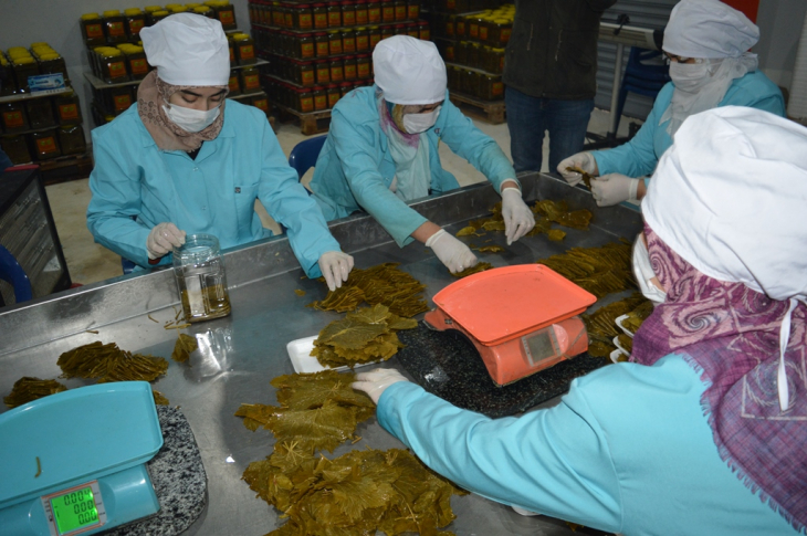 Siirtli kadınlar ürettikleri ürünle hem aile hem de şehir ekonomisine büyük katkı sağlıyor