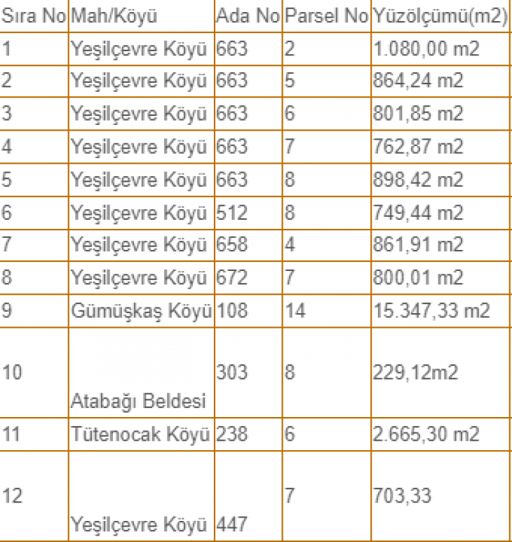 Siirt'te 12 adet taşınmazın satış ihalesi yapılacak