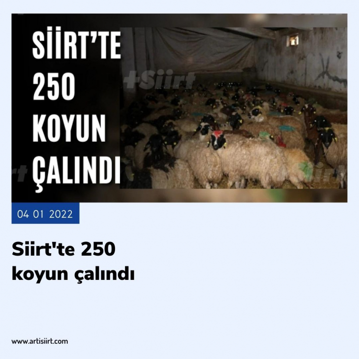 2022'de Siirt Gündemine Damga Vuran Olaylar! Bakın Siirt'te En Çok Hangi Olaylar Dikkat Çekti