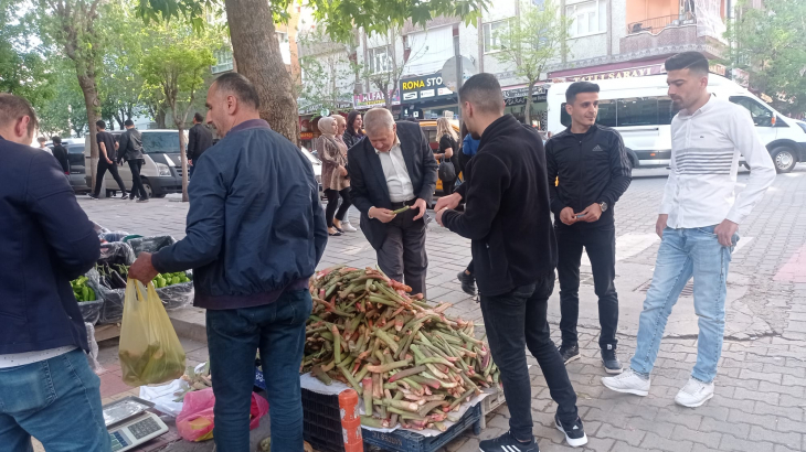 Siirt'in Yüksek Dağlarında Yetişen Işkın Bu Sene Piyasaya Sert Girdi