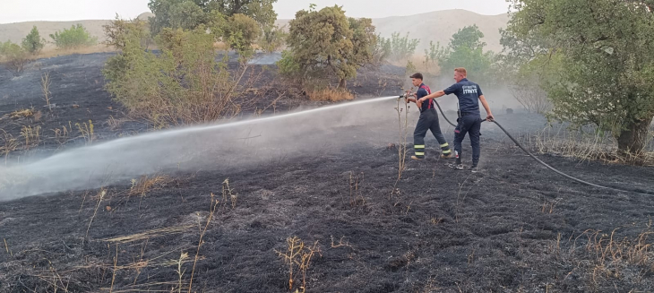 Siirt'teki Büyük Yangının Bilançosu Belli Oldu! 70 Dönüm Arazi Kül Oldu