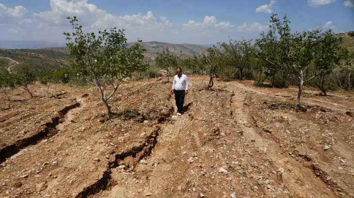 Siirt'te dolu 'yeşil altın'ı vurdu! Çiftçi destek bekliyor