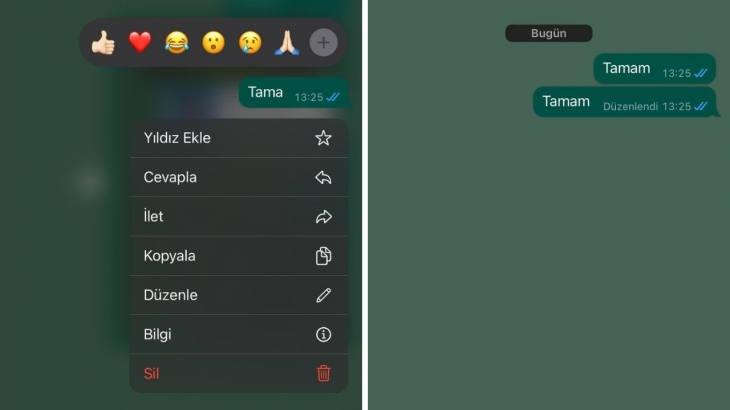 Kuzenim yazmış bahanesine son! Beklenen WhatsApp özelliği Türkiye'ye geldi