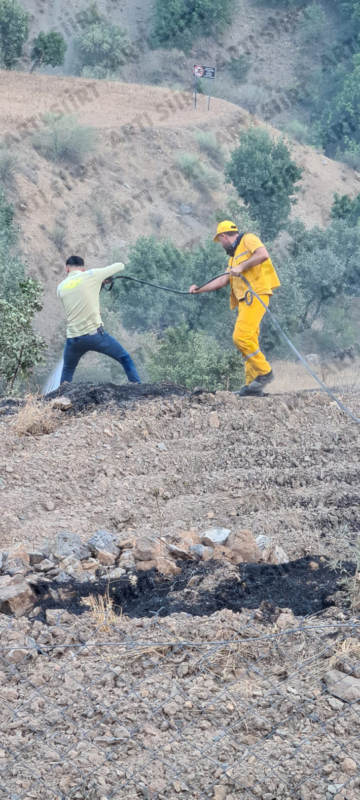 Siirt'te Orman Yangını