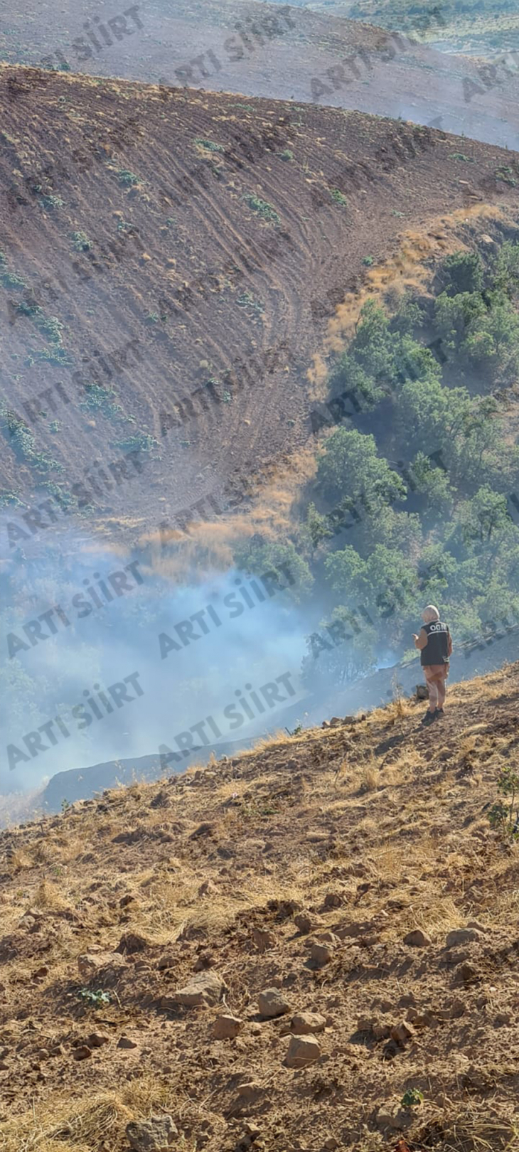 Siirt'te Orman Yangını