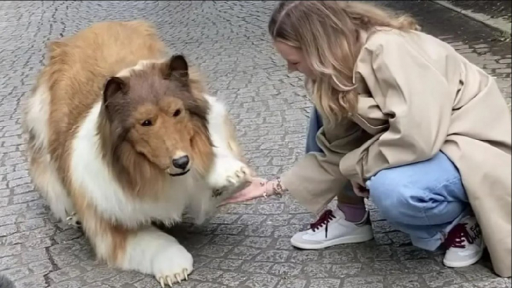 Servet harcayıp köpek oldu!