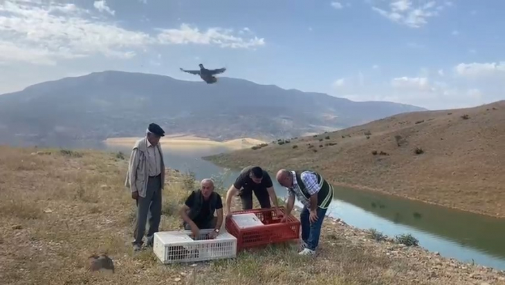 Siirt'te yüzlerce kınalı keklik doğaya bırakıldı!