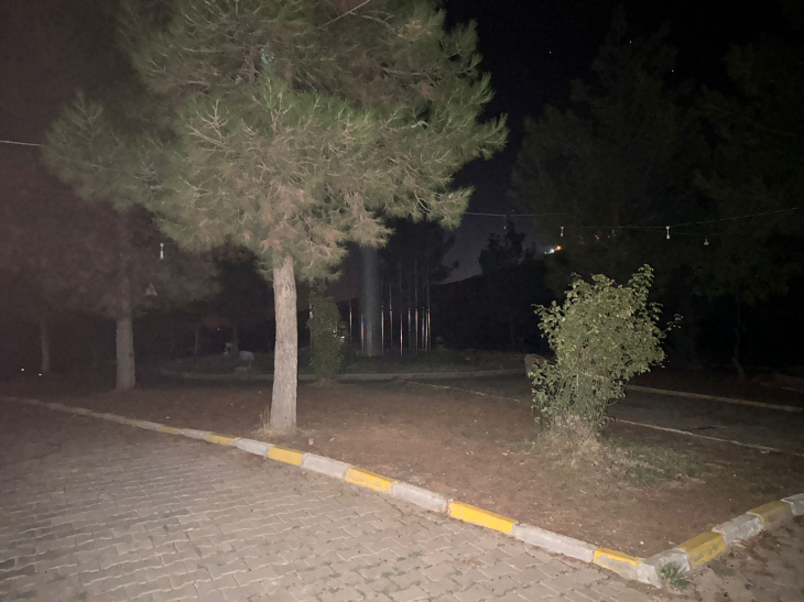 Siirt'te Yıldırımın İsabet Ettiği Trafo Yandı, Botanik Park Karanlığa Büründü!