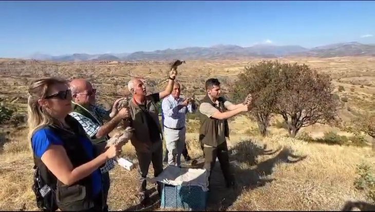 Siirt'te yaralı keklikler tedavi edilerek doğaya bırakıldı