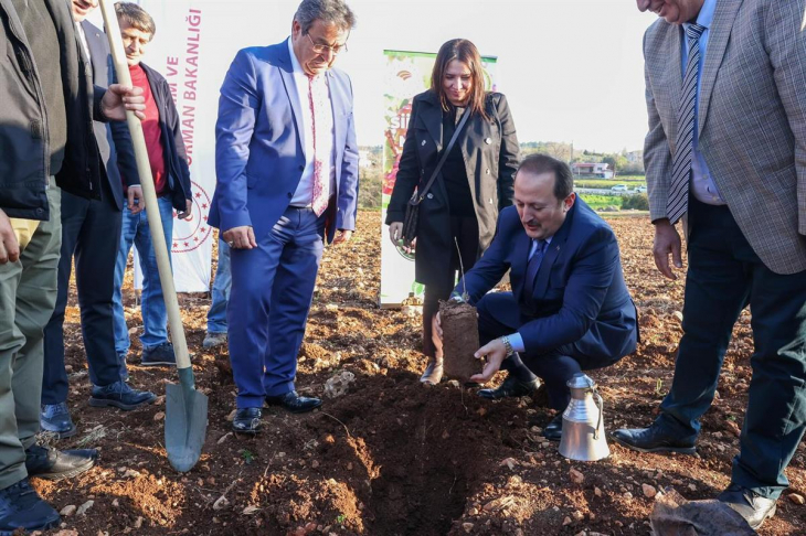 Siirt Fıstığı Mersin'de! Fidan Dağıtım Töreni Düzenlendi!