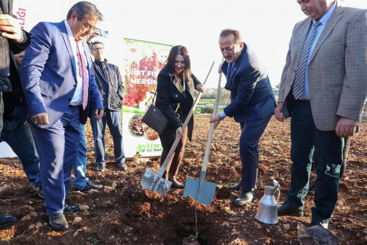 Siirt Fıstığı Mersin'de! Fidan Dağıtım Töreni Düzenlendi!