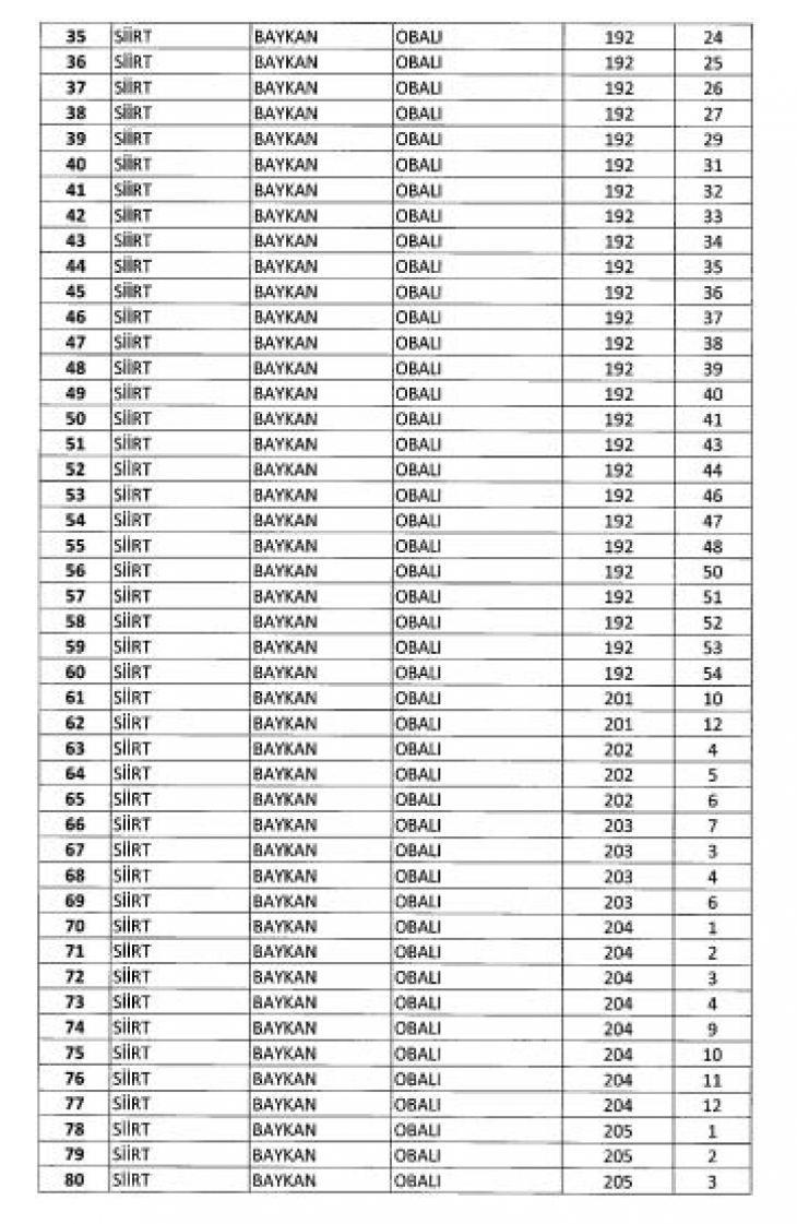 Cumhurbaşkanı Erdoğan Onayladı! Siirt'te 133 Parsel kamulaştırılacak.