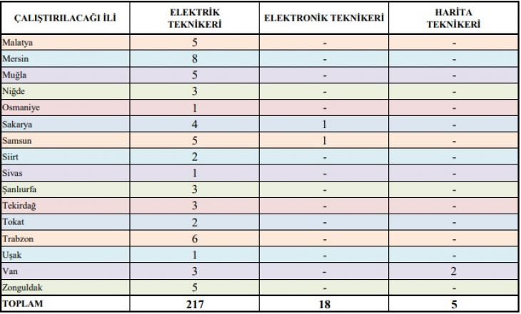 TEİAŞ Siirt'te 2 Sürekli Personel Alımı Yapacak! Son Başvuru Tarihi 9 Ağustos 2024