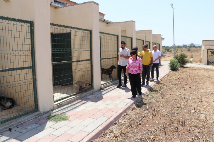 Siirt Belediye Eşbaşkanı Alağaş: Sokak hayvanlarının sağlıklarını korumak bizim için büyük bir öncelik